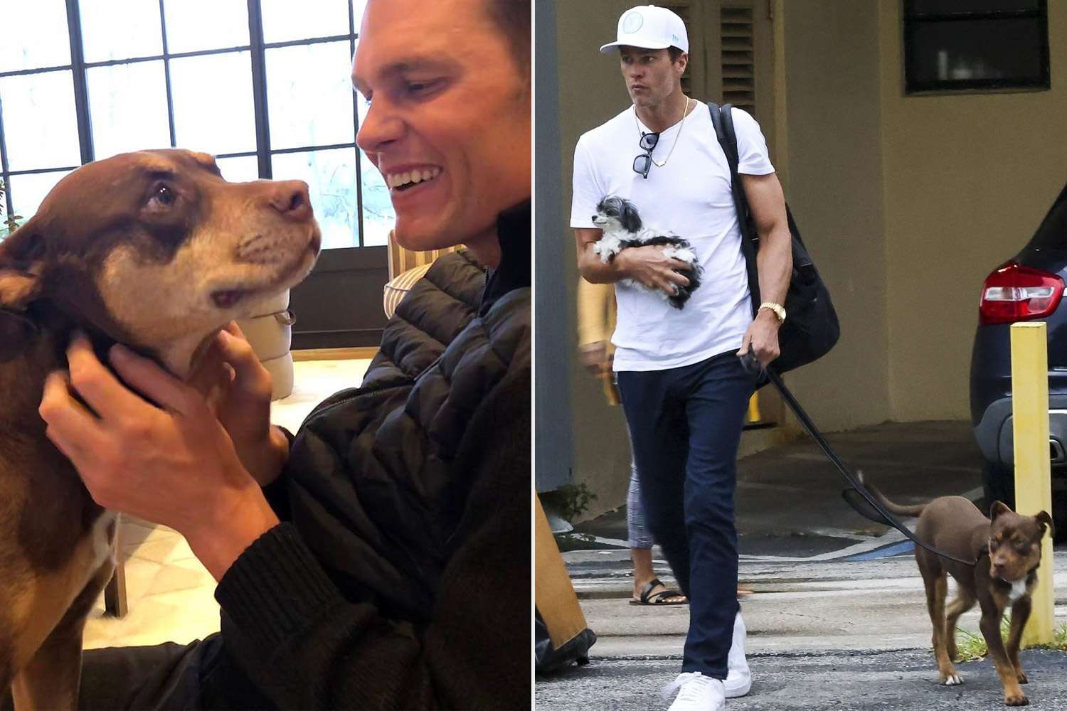 NFL legend Tom Brady stunned fans by revealing his dog Junie is a clone of his l…